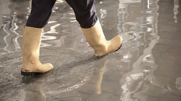 Notre savoir faire Image