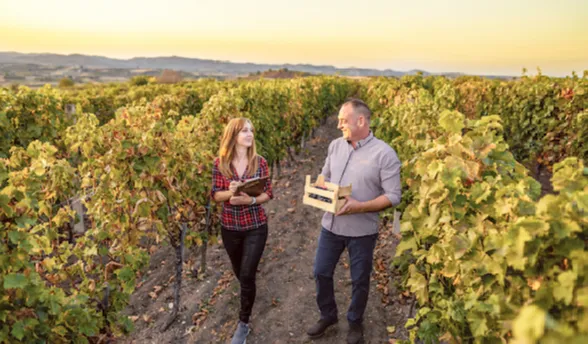 Pertuis - Correspondant AFER – Abeille Assurances