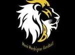 MENÉ MERDRIGNAC HANDBALL Logo
