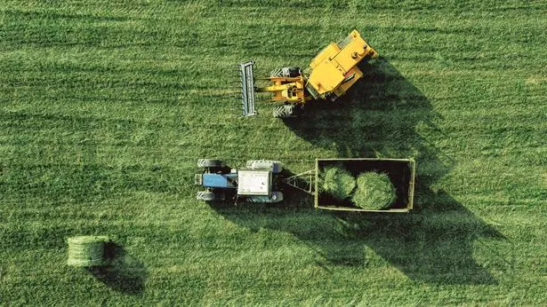 Valençay – Abeilles Assurances