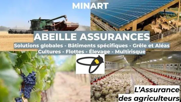 Vouziers – Abeille Assurances