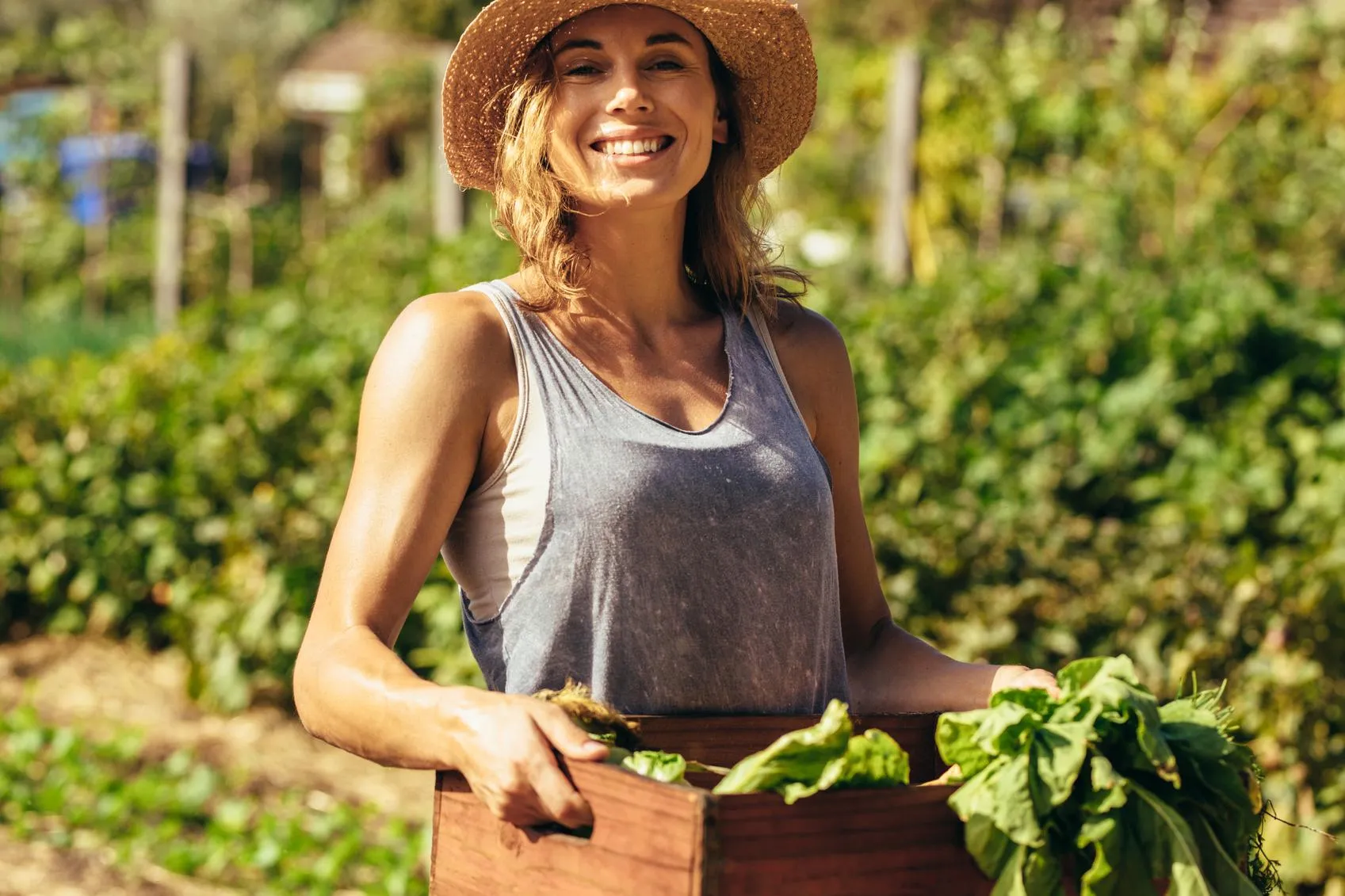 Notre savoir faire Image