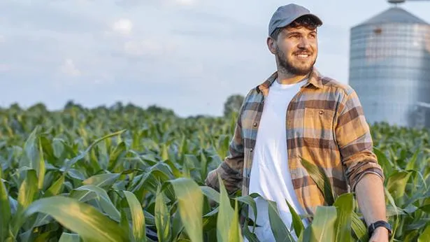 Etampes – Abeille Assurances