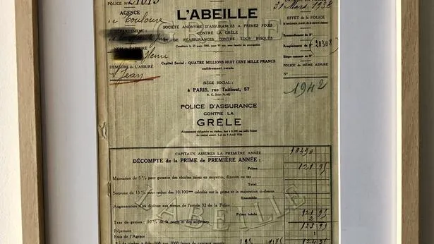 Castelginest – Abeilles Assurances