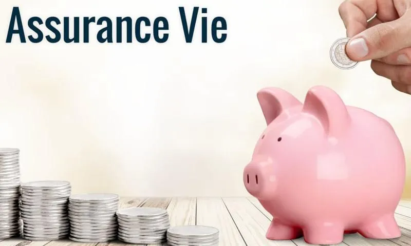 Notre savoir faire Image