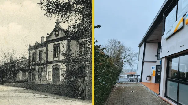 Saint-Orens – Abeilles Assurances